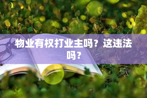 物业有权打业主吗？这违法吗？