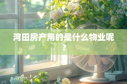 湾田房产用的是什么物业呢？