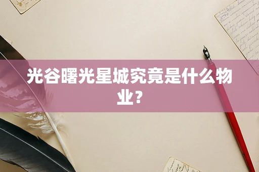光谷曙光星城究竟是什么物业？
