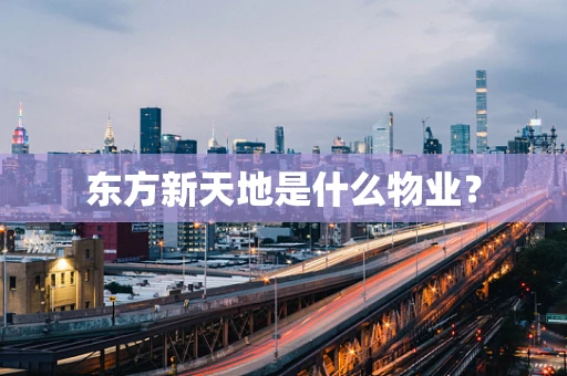 东方新天地是什么物业？