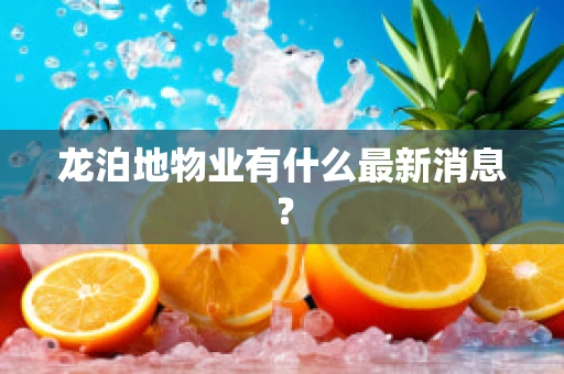 龙泊地物业有什么最新消息？