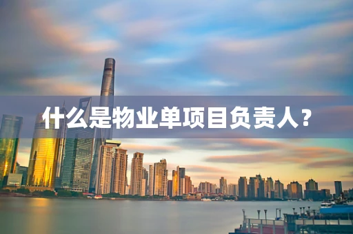 什么是物业单项目负责人？