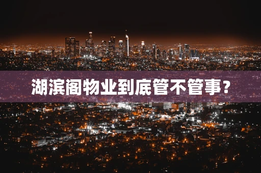 湖滨阁物业到底管不管事？