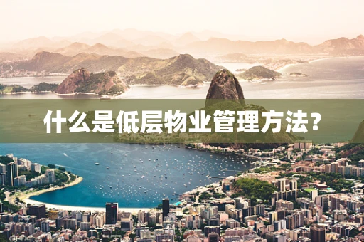 什么是低层物业管理方法？