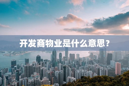 开发商物业是什么意思？