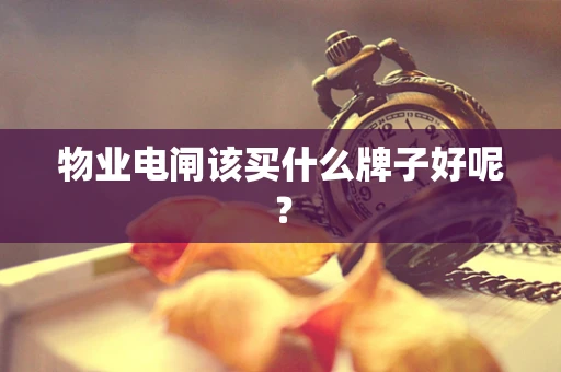 物业电闸该买什么牌子好呢？
