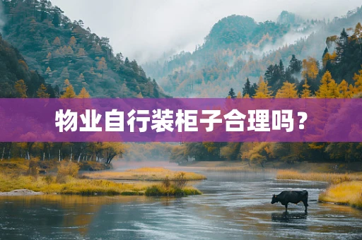 物业自行装柜子合理吗？