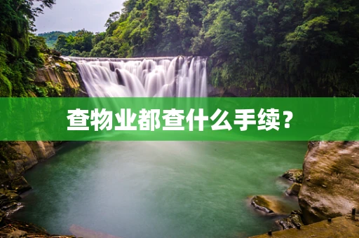 查物业都查什么手续？