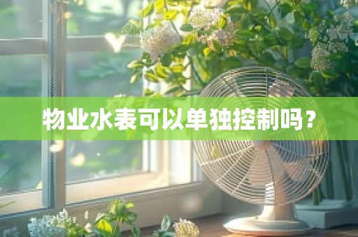 物业水表可以单独控制吗？