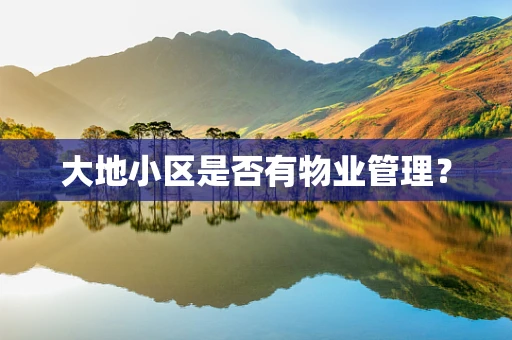 大地小区是否有物业管理？