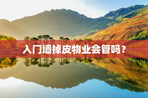 入门墙掉皮物业会管吗？