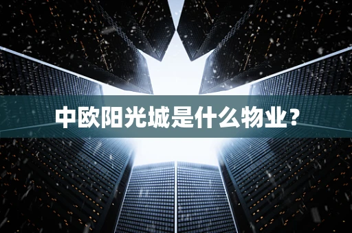 中欧阳光城是什么物业？