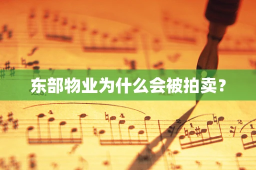 东部物业为什么会被拍卖？