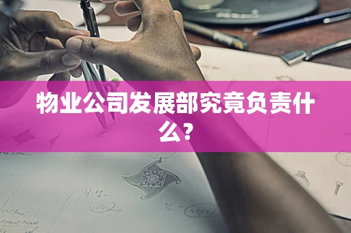 物业公司发展部究竟负责什么？
