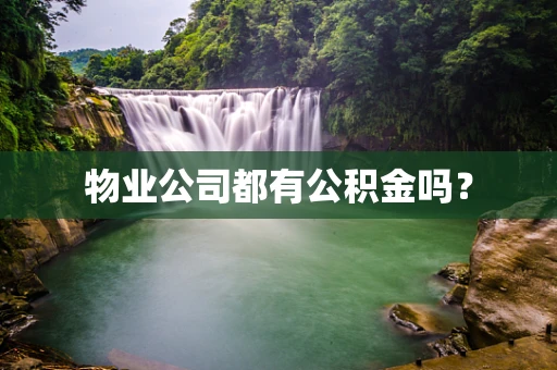 物业公司都有公积金吗？