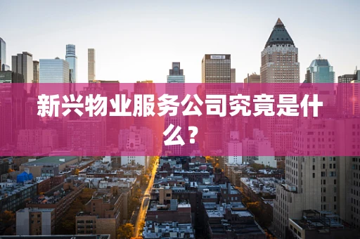 新兴物业服务公司究竟是什么？