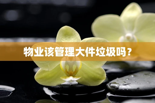 物业该管理大件垃圾吗？