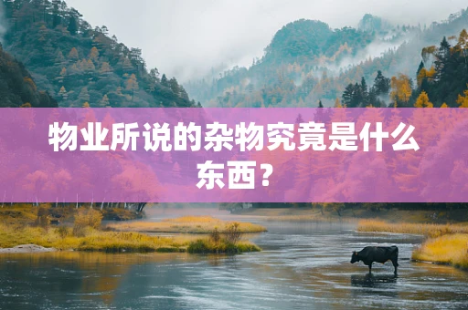 物业所说的杂物究竟是什么东西？