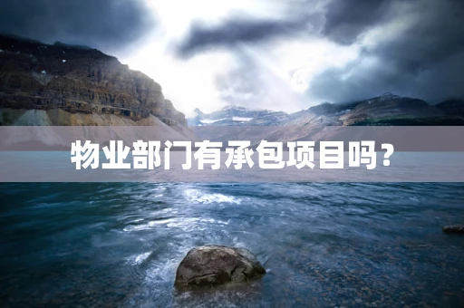物业部门有承包项目吗？