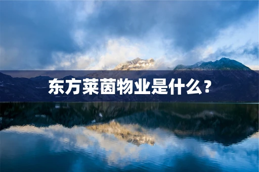 东方莱茵物业是什么？