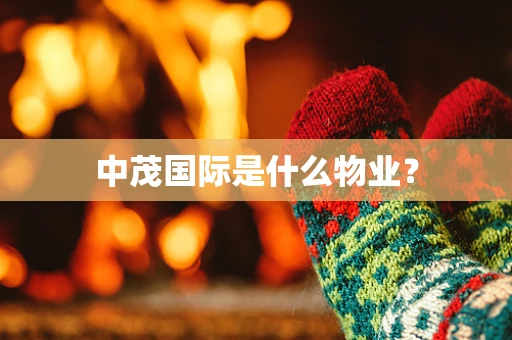 中茂国际是什么物业? 中茂国际是什么物业?