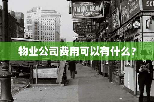 物业公司费用可以有什么？