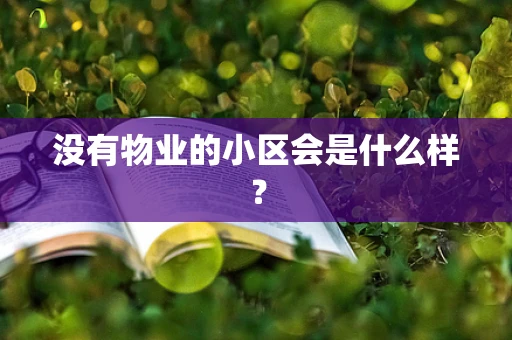 没有物业的小区会是什么样? 没有物业的小区会是什么样?