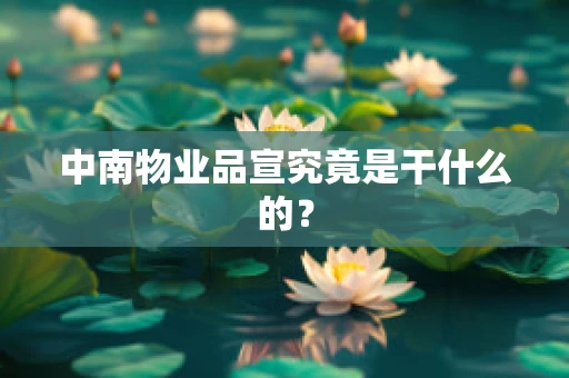 中南物业品宣究竟是干什么的？