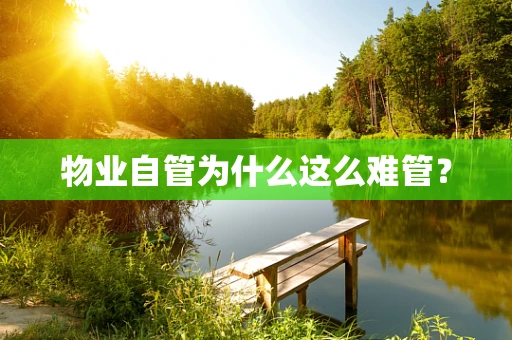 物业自管为什么这么难管? 物业自管为什么这么难管?