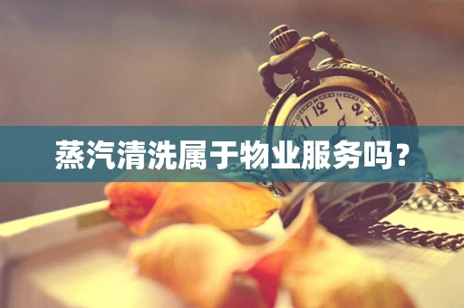 蒸汽清洗属于物业服务吗？