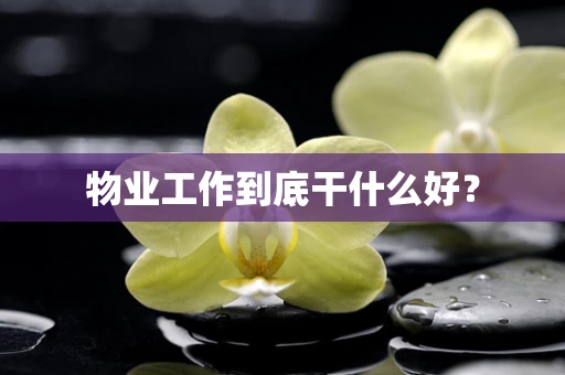 物业工作到底干什么好？