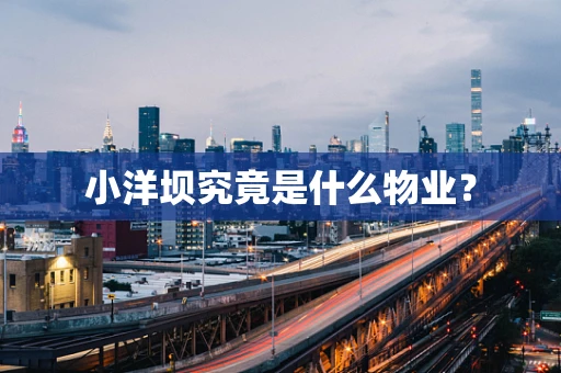 小洋坝究竟是什么物业？
