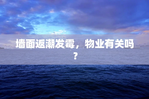 墙面返潮发霉，物业有关吗？