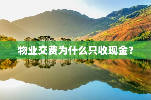 物业交费为什么只收现金？