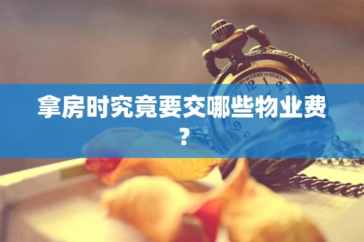 拿房时究竟要交哪些物业费？
