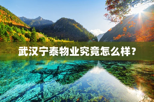 武汉宁泰物业究竟怎么样？