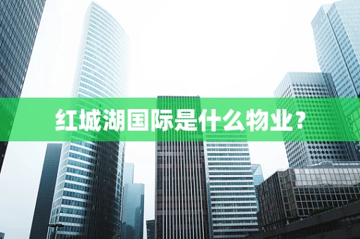 红城湖国际是什么物业？