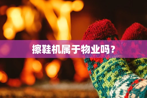 擦鞋机属于物业吗？