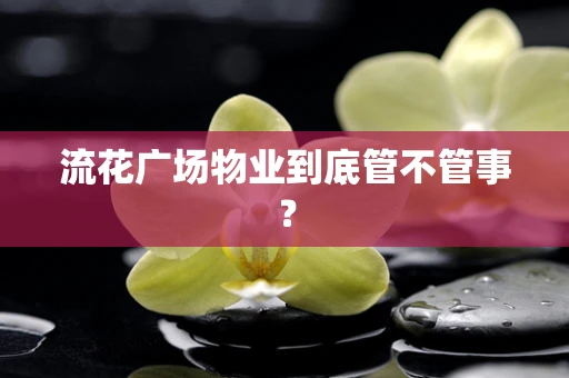 流花广场物业到底管不管事？