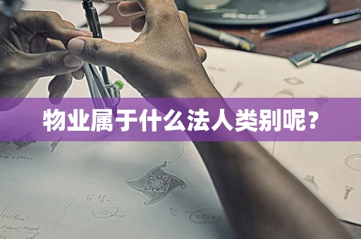 物业属于什么法人类别呢？