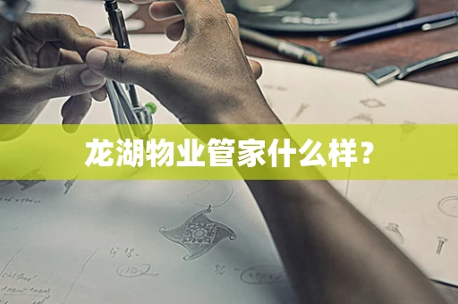 龙湖物业管家什么样？