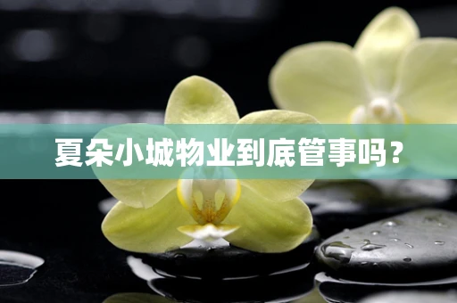 夏朵小城物业到底管事吗？