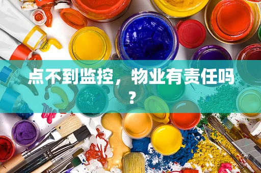 点不到监控，物业有责任吗？