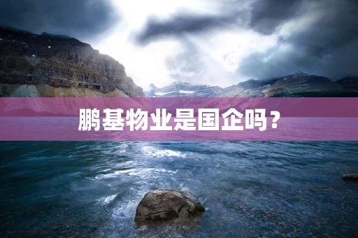 鹏基物业是国企吗？