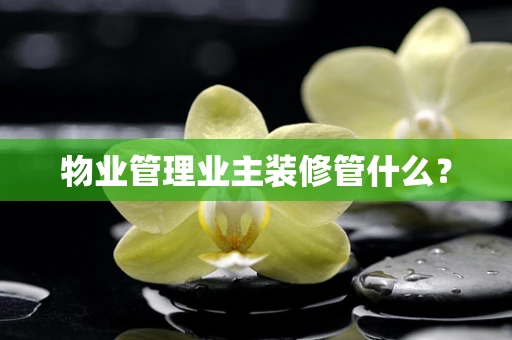 物业管理业主装修管什么？