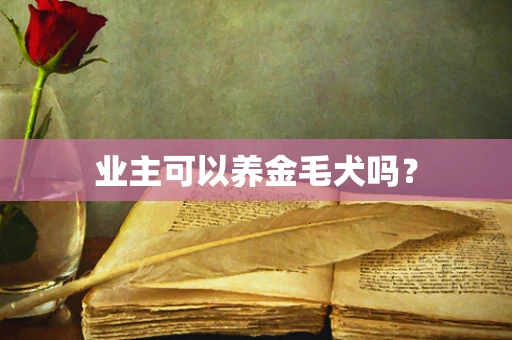 业主可以养金毛犬吗？