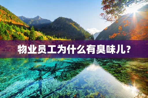 物业员工为什么有臭味儿？