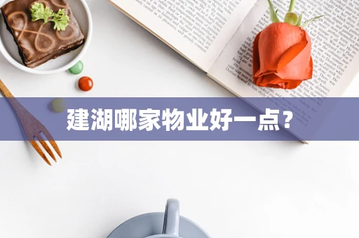 建湖哪家物业好一点？