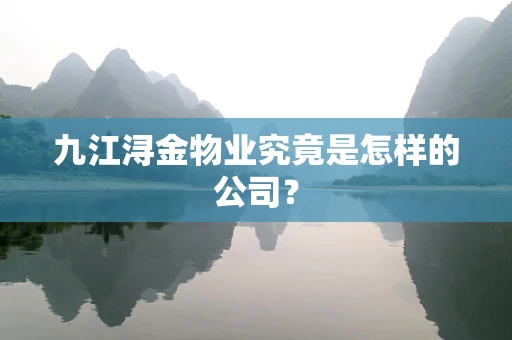 九江浔金物业究竟是怎样的公司？