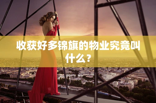 收获好多锦旗的物业究竟叫什么？